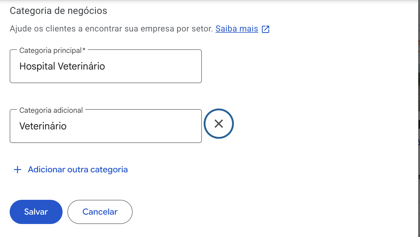 Tela de categoria de negócios do Google Meu Negócio, com categoria principal e adicional